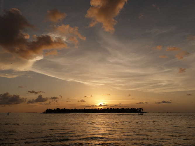 MIA_2023-08-11 19-50-35_RX_05906